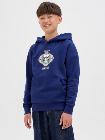 Sweatshirt à capuche