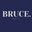 Bruce boys logo