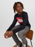 Longsleeve in zwart van Jack and Jones Mini voor jongens
